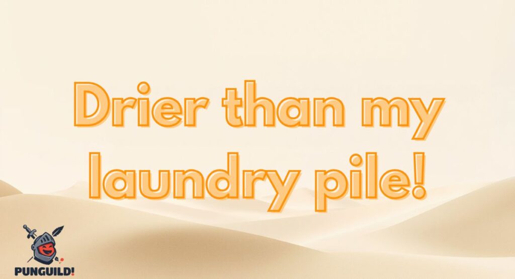 Funny Drier Than Jokes Puns Captions